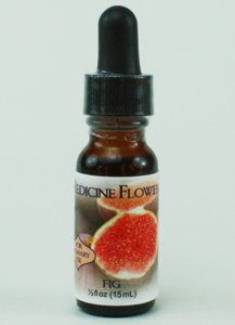 Flavor Extract - Fig Pure Extract