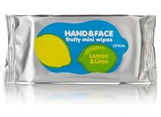 Hand Wipes