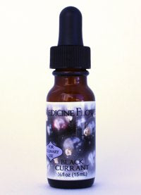 Flavor Extract - Black Currant Pure Extract