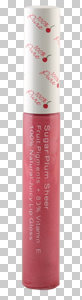 Lip Gloss Sugar Plum Sheer Fruit Pigmented Gloss