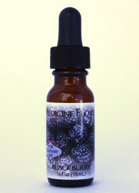 Flavor Extract - Blackberry Pure Extract