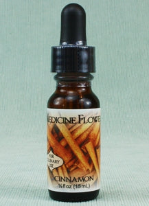 Flavor Extract - Cinnamon - Pure