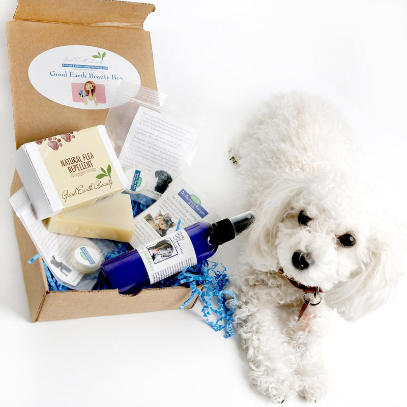 Pampered Pooch Beauty Box for Dogs one time