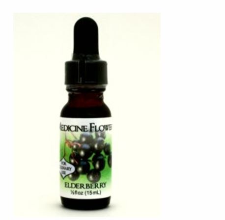 Flavor Extract - elderberry Premium Pure Extract – Good Earth Beauty