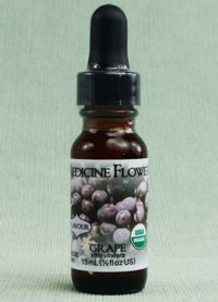 Flavor Extract - Grape Pure Extract