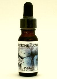 Flavor Extract - Plum Pure Extract