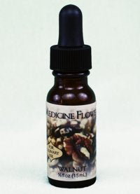Flavor Extract - Walnut Pure Extract