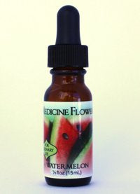 Flavor Extract - Watermelon Pure Extract